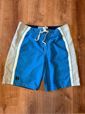 Men’s American Eagle Outfitters Blue Pinstripe Swim Board Shorts Size 34
